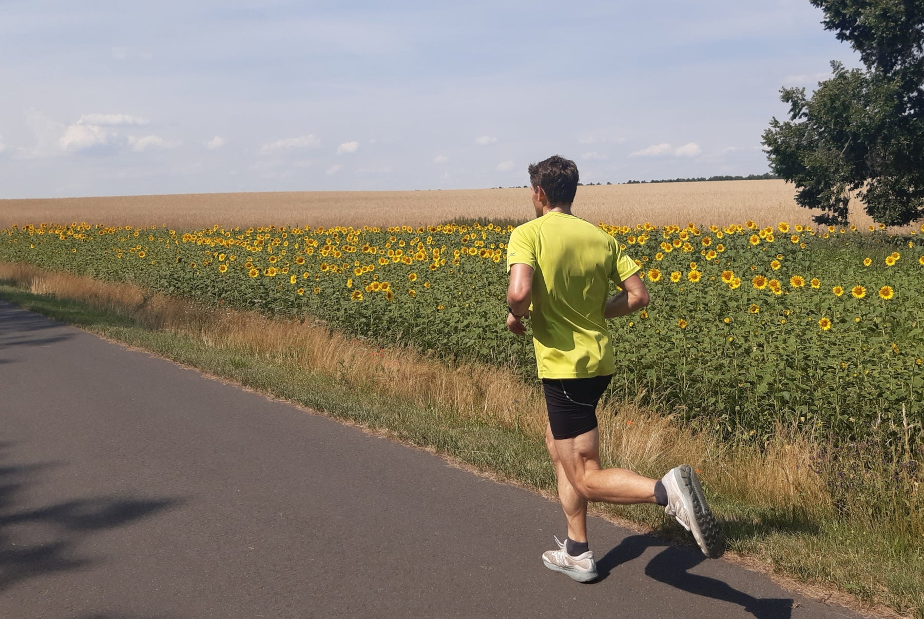 Der "lange Lauf": wie lang sollte er sein?