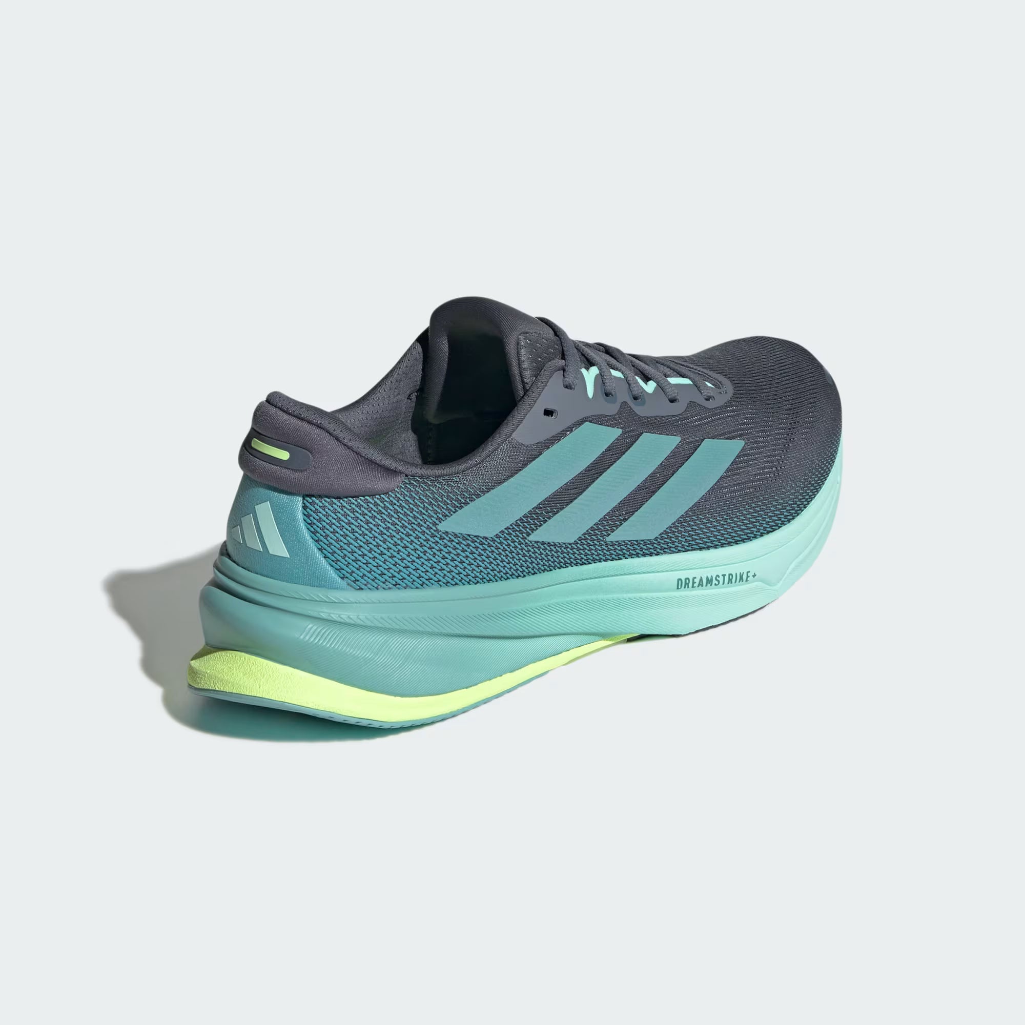 Schräganischt rechter Schuh von hinten